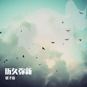 羞羞视频网站91
